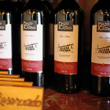 Monumento Pazo Do Castro מלון 4*