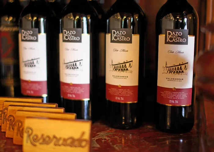 Monumento Pazo Do Castro Otel 4*